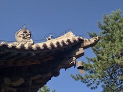 -张掖大佛寺景区