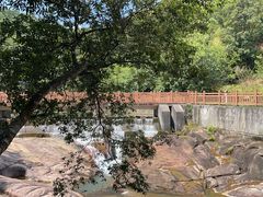 -广州白江湖森林公园