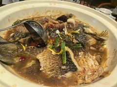 -龙悦湾酒家·八阵鱼生·渔人码头店
