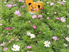 -天津东丽湖风景区