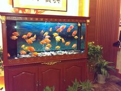 android_upload_pic-大拙里·精致融合菜(沙湖桃源国际店)