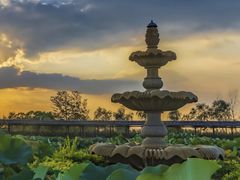 -池杉湖湿地公园