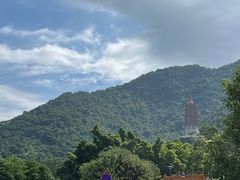 -深圳仙湖植物园