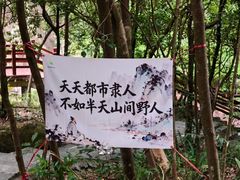 -广州白江湖森林公园