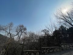 -北京西山国家森林公园