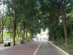 -南宁南湖公园