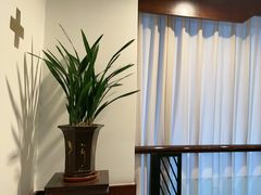 -皇城老妈火锅·川味传承(港湾店)