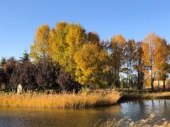 -安德鲁户外烧烤帐篷营地(马泉营店)