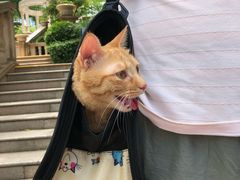 -东部华侨城
