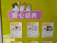 -瑞虹新天地月亮湾
