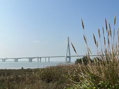 -芒洲湿地公园
