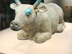 -宁夏博物馆