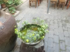 -新疆狼爷烤肉(宋庄店)