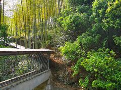 -众神白水涧景区