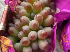 -马陆小张葡萄园农家乐