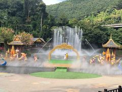 -中国科学院西双版纳热带植物园