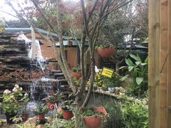 -凤来栖·净庭院·火锅(欧尚店)