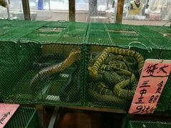 -荔城生鲜盛宴(番禺旗舰店)