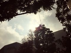 -九龙公园