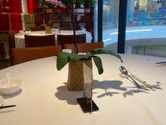 -洋洋中餐馆·SINCE 1997(龙湖星湖天街店)
