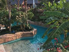 -亚马逊丛林水乐园