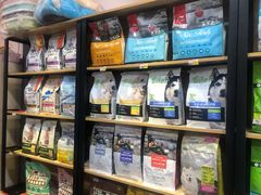 -挚爱宠物(长江南路店)