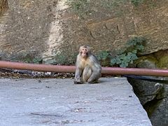 -北京上方山国家森林公园