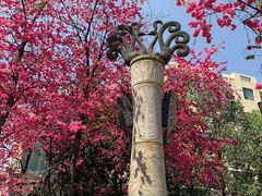 -昆明动物园