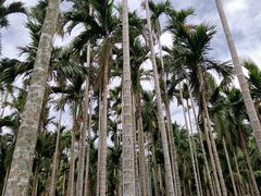 -七仙岭温泉国家森林公园
