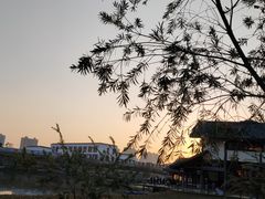 -比巴卜自助烤肉餐厅(新朝阳商业广场店)