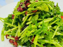 拌马家沟芹菜-皇朝海鲜酒店
