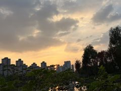 -洋湖国家湿地公园