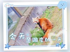 -黔灵山公园