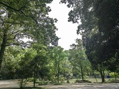-灵谷景区