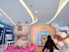 -深圳龙华星河COCO City(民治店)