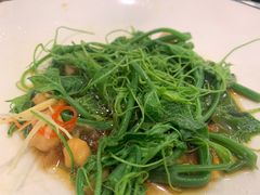 清炒南瓜尖儿-巴依老爷新疆美食(清华东门店)