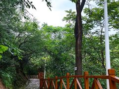 -大岭沟猕猴桃谷风景区