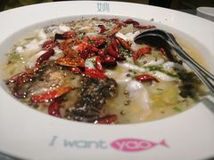 -姚姚酸菜鱼·金戈戈香港豉油鸡(喜荟城联名店)