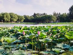 -沈阳市东陵公园