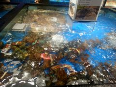 -盒马鲜生(馥邦国际店)