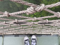 -梦幻奥陶纪景区