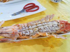 濑尿虾-蚝专家(北滘店)
