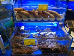 -新海渔港·胶东海鲜家常菜·家宴(奥体中心店)