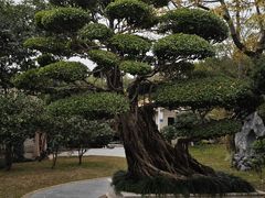 -荔枝公园(福田区)