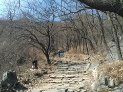 -阳台山自然风景区