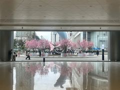 -LV路易威登(国际广场店)