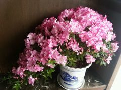 android_upload_pic-春盛渔府(牛首山店)