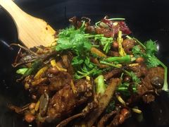 -食乐佳麻辣香锅(森林摩尔商业街区店)
