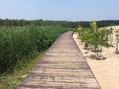 -东郊湿地公园
