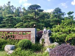 -深圳仙湖植物园